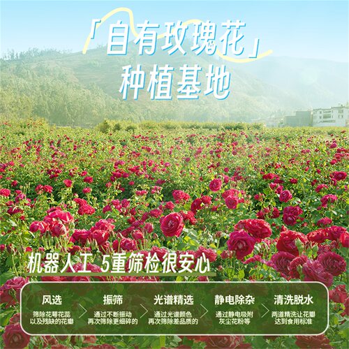 潘祥记官方旗舰店鲜花饼云南特产玫瑰花饼传统糕点心零食早餐面包 - 图3