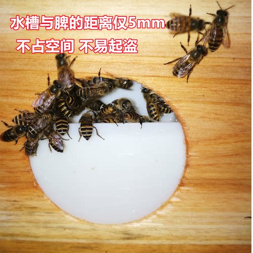 顶格九代免开箱蜜蜂自动饲喂器中蜂喂糖器箱外宠物小鸡自动喂水器 - 图2