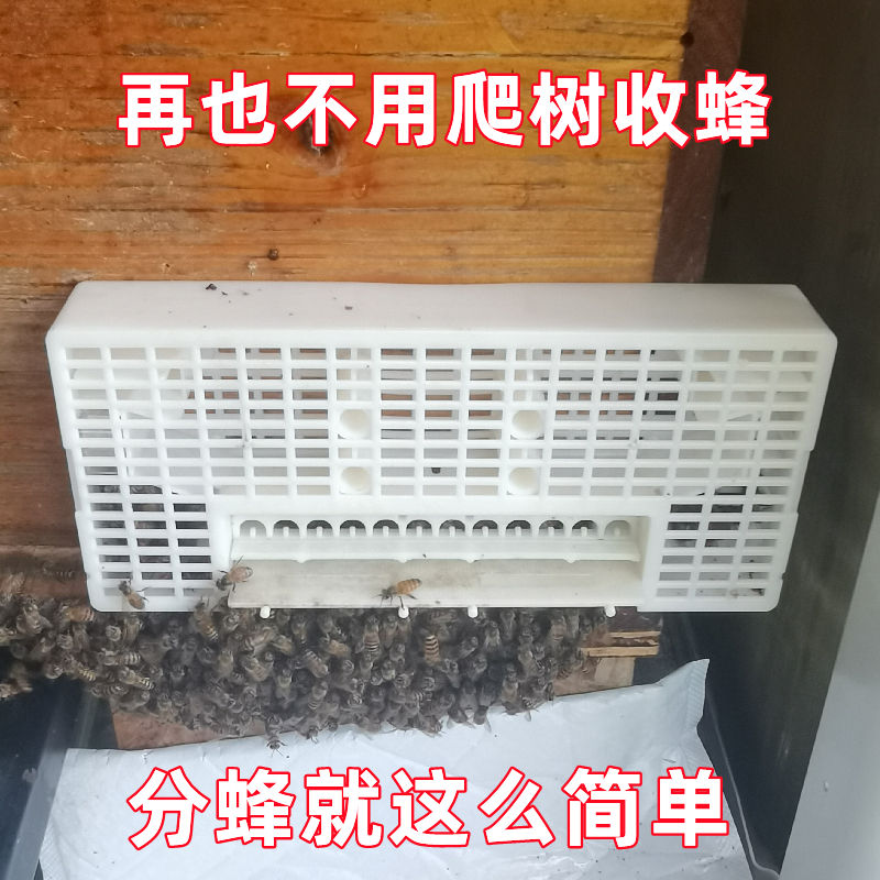 新款八代顶格8号分蜂器中蜂自动分蜂器雄蜂过滤神器圆桶三代分蜂 - 图2