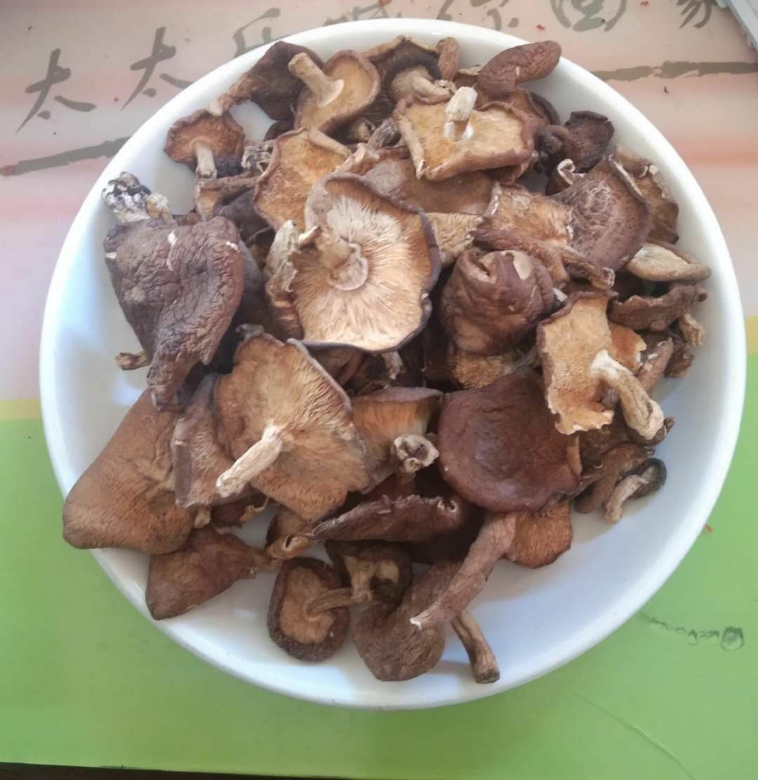 大凉山盐源县树河镇野生晒干蘑菇香菇特产干货现货半斤包邮当季新