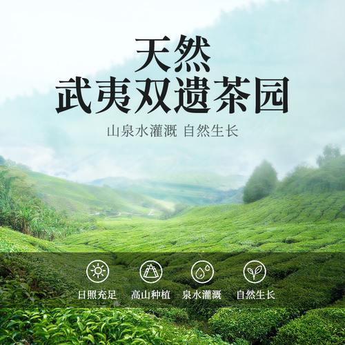 兴久岩茶特级兰花香水仙武夷山大红袍茶叶袋装乌龙茶试喝送礼盒装 - 图2