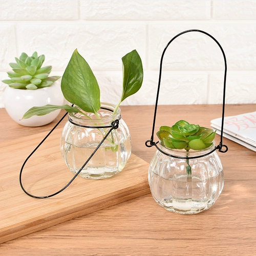 3 Медные монеты стеклянные вазы Просмотр корней растения гидропонный контейнер для растений