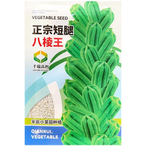 短矮腿八棱王白芝麻种子农家高2米抗倒伏八棱蒴果榨油芝麻种夏季 - 图3