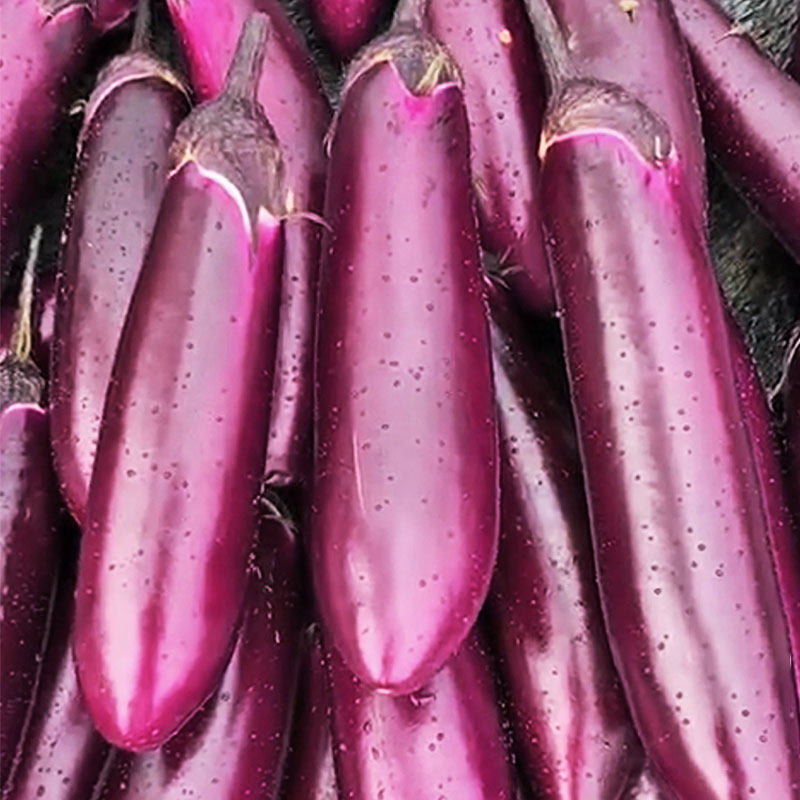 蔬菜种子紫红长茄种子春季四季田园阳台盆栽茄子籽 四季种植瓜果,淘宝优惠券,粉丝福利购,淘宝优惠卷