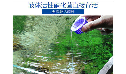 包邮鱼池硝化细菌5L大桶EM原液消化鱼缸净水剂锦鲤水族养用品稳定 - 图2
