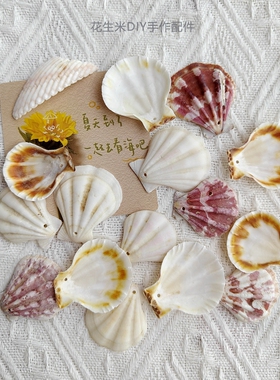 花生米DIY手作配件天然彩色贝壳