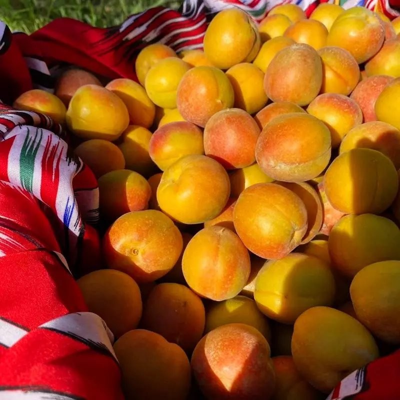 【顺丰包邮】新疆小红杏新鲜杏子水果5斤阿克苏当季吊干杏小白杏 - 图0