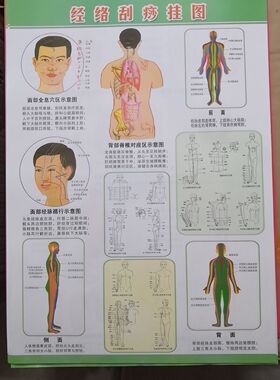 人体标准经.穴部位图 施灸取穴参考图 艾灸穴位图挂图(双面）