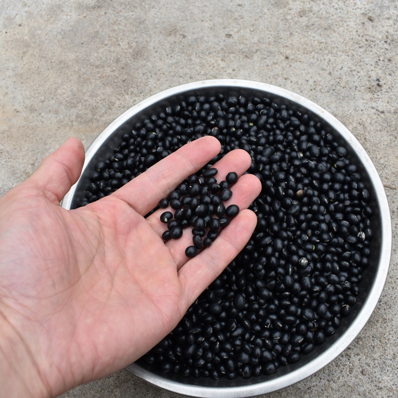 连味园黑豆腐竹河源农家自制纯正手工干货客家特产批火锅食材商用 - 图2