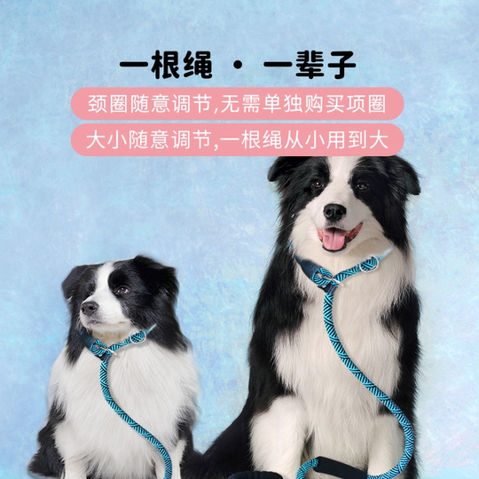 Explosion-proof dog training rope p rope special for dog walking