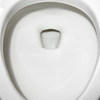 Pumice toilet brush, a household stain-removing artifact with no dead ends