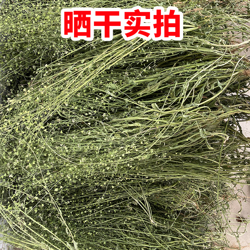 秦岭野生晒干老荠菜根.花.籽.整株月子煮水煮鸡蛋三月三野菜500g-图3