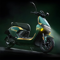 9th Voyage Home M95CM85CM80C Electric Car Pull Flower Stickers Waterproof Sunburn Body Decoration Retrofit Film