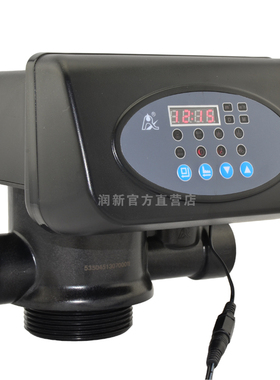 成都华膜 润新P系列全自动过滤阀  水处理多路阀4吨 F67P1 53504P