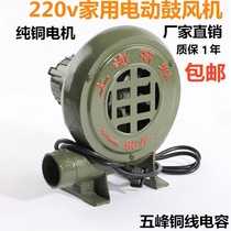 Cast iron blower pure copper motor 220v Special blower for burning coal