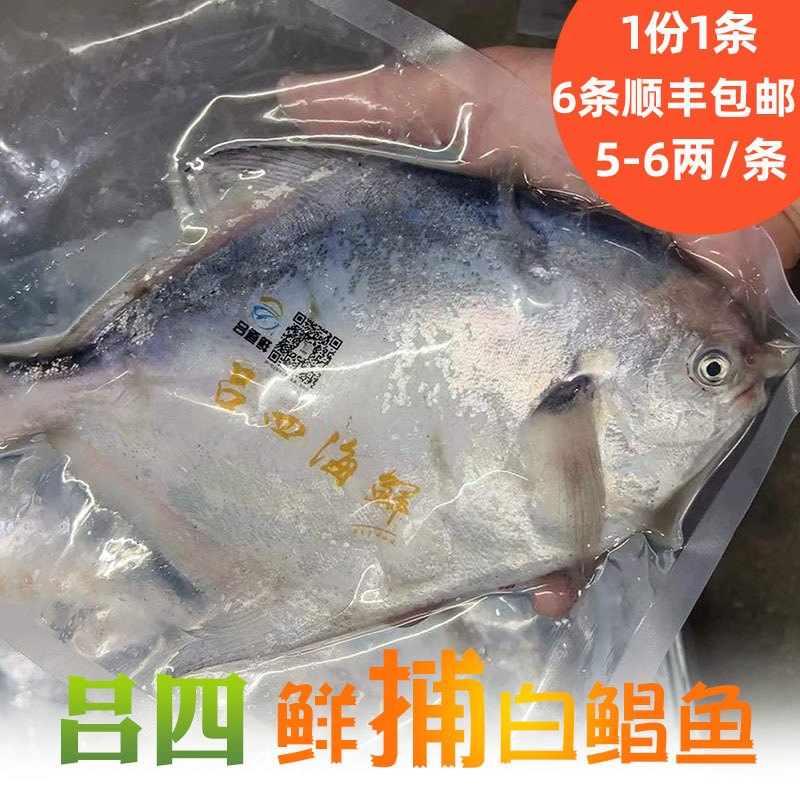 启东吕四海鲜白银鲳平鱼4-5两/条节日礼包拍6条江浙沪皖顺丰包邮 - 图0