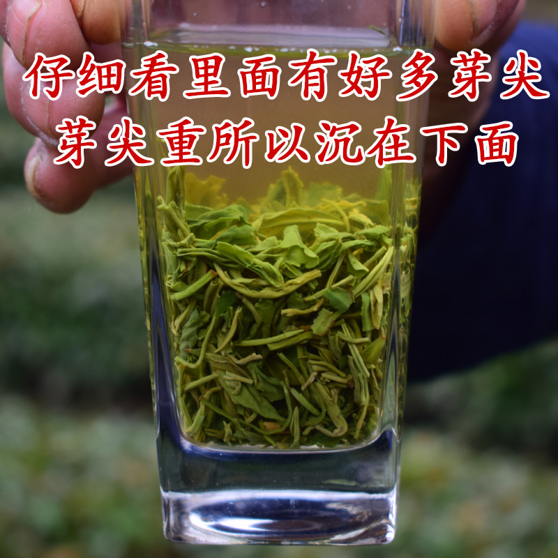 2024新茶绿茶叶汉中炒青西乡特炒特级散装500g茶农直销雨前春茶-图2