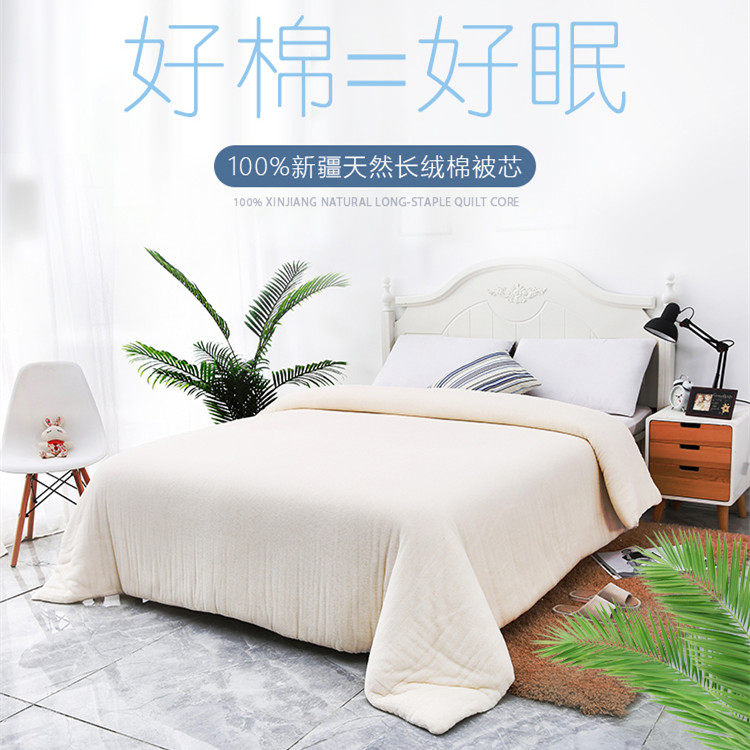 新疆棉被网纱被芯新疆长绒棉花被子磨被棉絮天山雪域棉胎冬被新品,淘宝优惠券,粉丝福利购,淘宝优惠卷