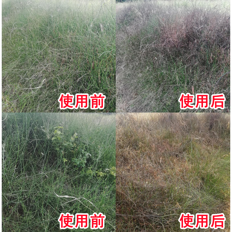 农药店杂草节节草除草剂笔管草牛筋草除草烂根剂二甲四氯钠专用剂_虎窝淘