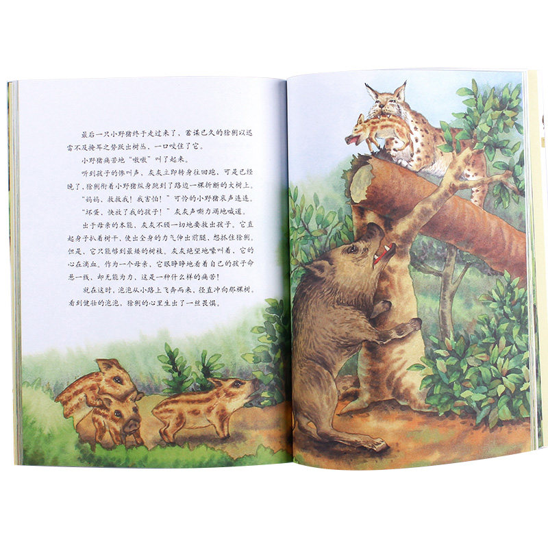 西顿动物记 童话小说动物故事绘本书籍  3-6-12岁小学生课外阅读物 体会生命尊严价值儿童彩图版