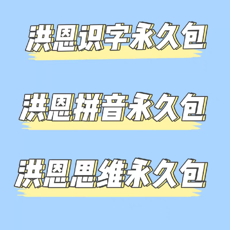 永久包洪恩思维启蒙玩具洪恩识字洪恩拼音幼儿园益智学习早教玩具 - 图0