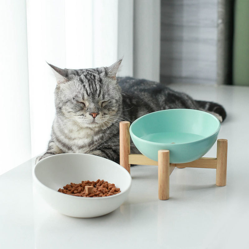 陶瓷猫碗保护颈椎斜口高脚粮碗狗狗食盆倾斜水碗木架双碗猫咪饭碗 - 图1