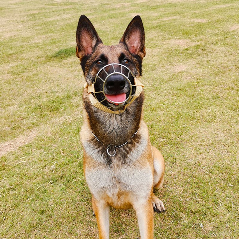 马犬德牧狗狗嘴套防咬叫防乱食中大型犬金毛外出口罩嘴罩止吠器-图2