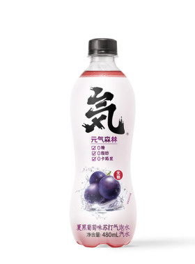 元气森林气泡水480ml*15瓶