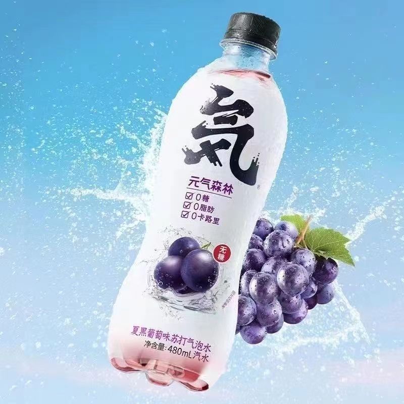 元气森林气泡水 480ml*15瓶多口味 - 图0