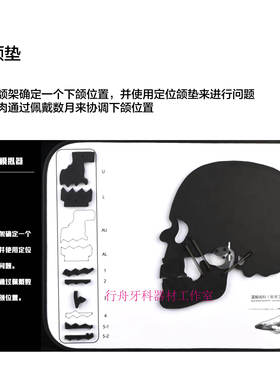 头模颞下颌关节紊乱口颌系统异常演示板TMJ颌垫修复牙科肌肉牙齿