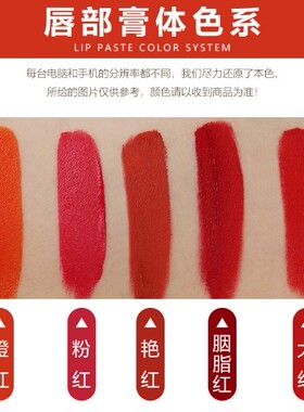 手工漂唇色料唇膏唇部针片纹绣