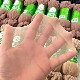 100 pairs of summer ultra-thin crystal invisible women's socks