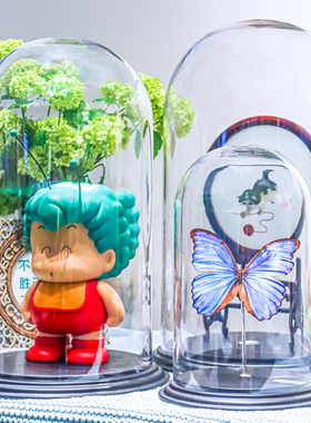 PC防尘简约透明展示罩防虫防尘