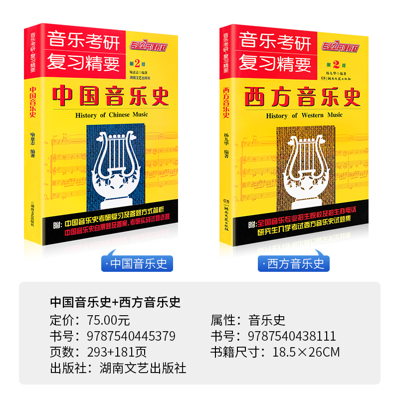 音乐考研复习精要中国音乐史+西方音乐史中国音乐史考研音乐史考研实战试题练习题中外音乐史考研真题第2版湖南文艺 - 图0