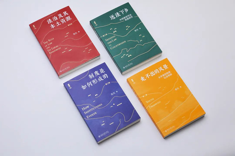 全套4本 正版苏力四部曲作品集 法治及其本土资源+制度是如何形成的+送法下乡中国基层司法制度研究+不出的风景 北京大学版 - 图2