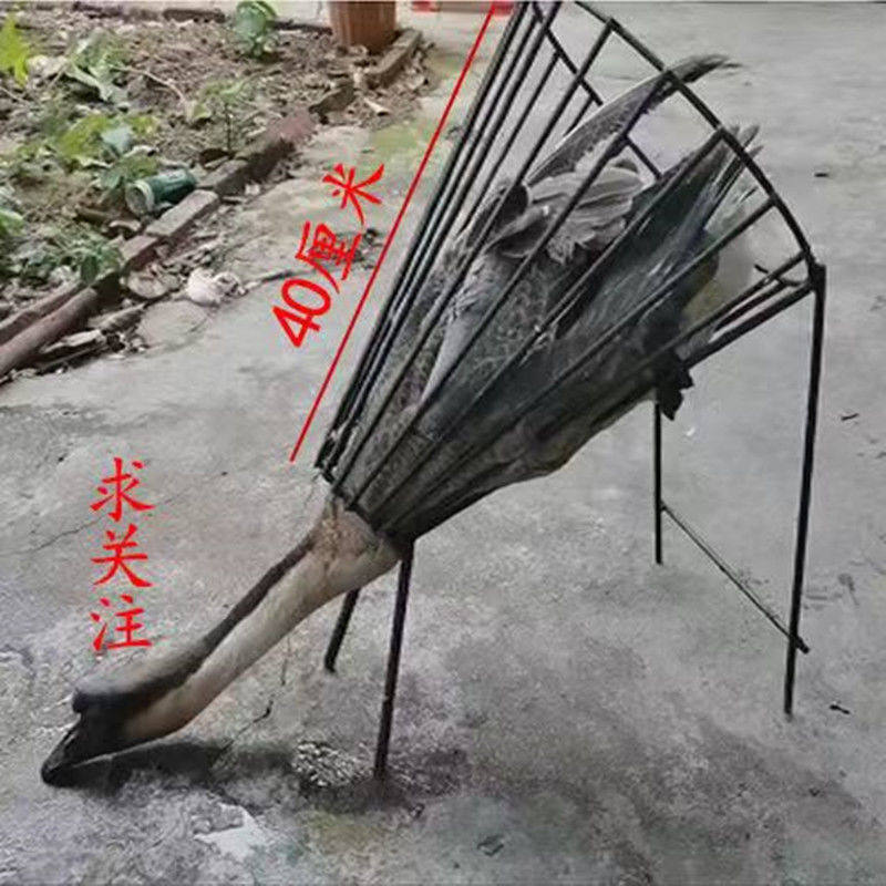 杀鸡鸭鹅神器固定沥血器放血专用工具屠宰鸡鸭鹅加固特厚放血架子,淘宝优惠券,粉丝福利购,淘宝优惠卷