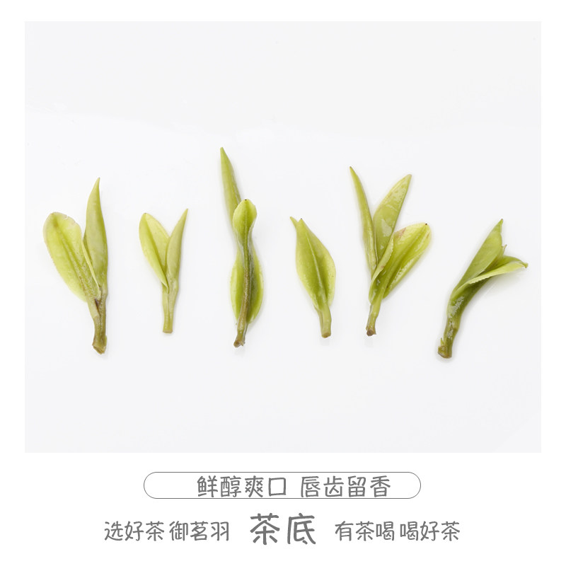 御茗羽白茶安吉头采首日芽兰花香溪龙黄杜正宗原产地高山新茶2024_虎窝淘
