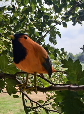 仿真鸟仿真羽毛小鸟装饰