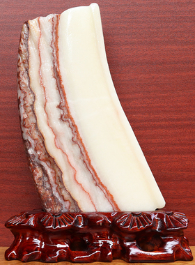 19*28*2cm1907g天然石材奇石摆件猪肉石五花肉桌面装饰雕刻石摆件