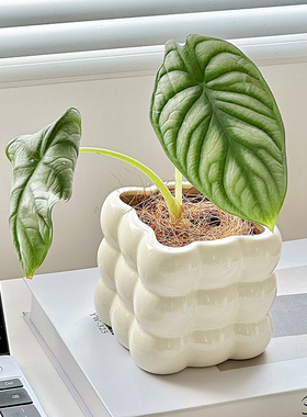 陶瓷轻奢客厅家用高档白色花卉新款好看的多肉植物艺术摆件小花盆