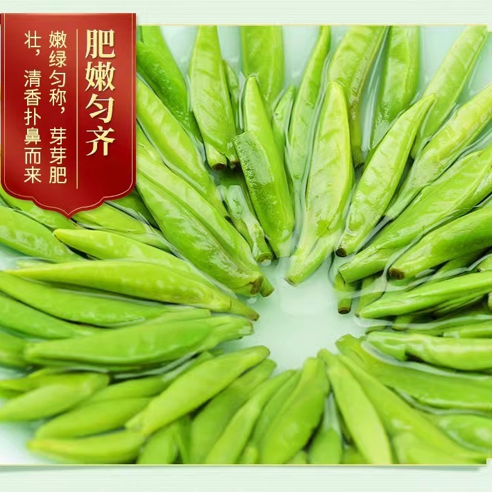 湄潭翠芽2024新茶贵州雀舌绿茶明前特级毛尖春茶浓香型240g礼盒装-图2