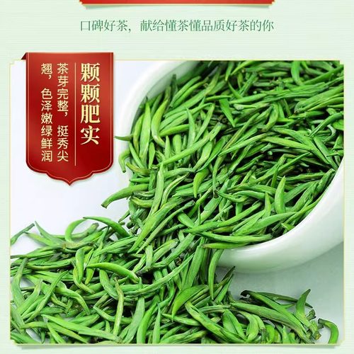 湄潭翠芽2026新茶贵州雀舌绿茶明前特级毛尖春茶浓香型240g礼盒装 - 图0