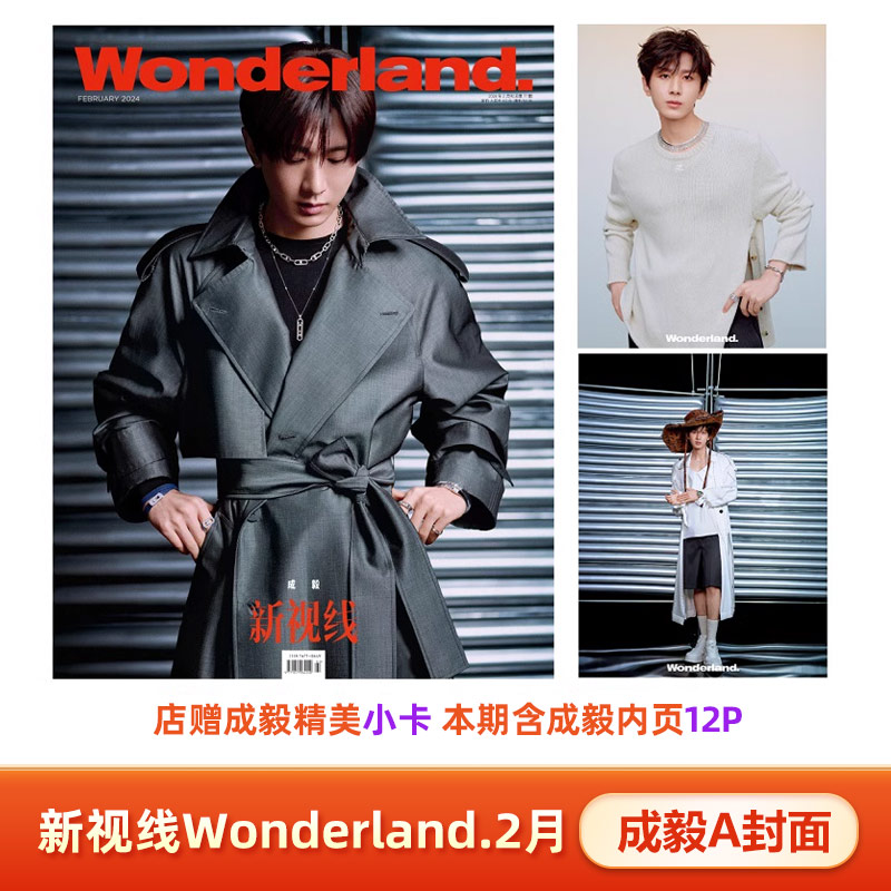 官方版 新视线2月 成毅A/B封面+赠珍藏版明信片2张   计入销量 Wonderland/睿士ELLEMEN/世界时装之苑ELLE6月杂志2024年1/2月 - 图3