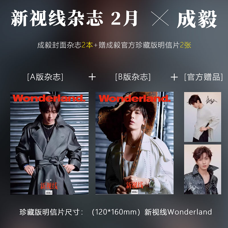 ELLE 6月 成毅封面+店赠小卡+飞机盒包 计入销量 Wonderland/睿士ELLEMEN世界时装之苑ELLE6月杂志2024年1/2月成毅封面 - 图3