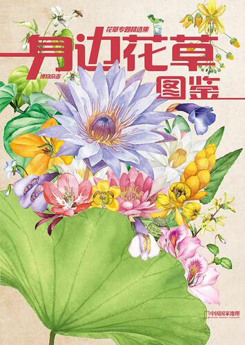 【博物2024年增刊】怪怪宠物箱/2022年增刊/身边花草图鉴/中国国家地理出品张辰亮/博物君策划园艺花卉/博物君科普书/博物杂志礼盒 - 图1