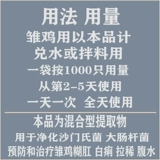 Куриная булочка курица байджи куриная курица куриная сальмонелла кокк курицы курица тяговая куриная пургически анальная курица с курицей вздутие живота вздутие живота вздутие живота