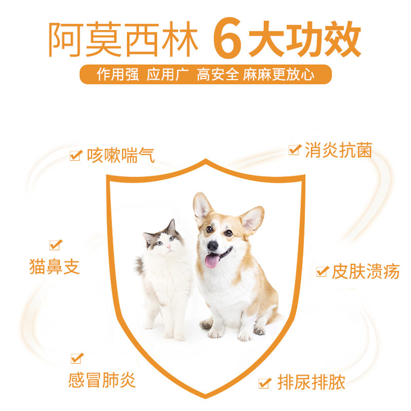 爱纳它希林安阿莫西林片狗狗呼吸道咳嗽猫猫鼻支感染支气管咳