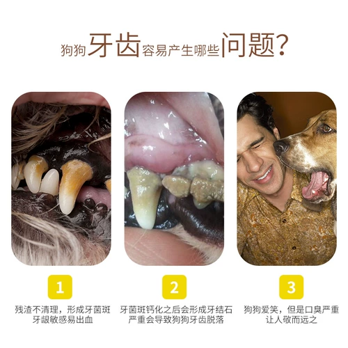 凡可奇 Закуски для домашних животных, молярные кости, укусить, укусить неприятный запах дыхания, кусочные клей