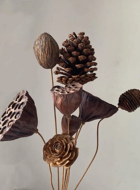 带杆彩菊松果干燥花莲蓬头