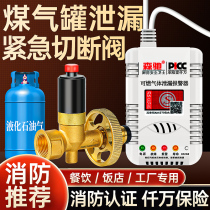 Steel bottle liquefied gas cut-off valve wireless gas leakage alarm emergency cut off copper valve solenoid valve kitchen alarm